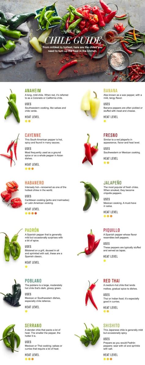 chilli and pepper difference